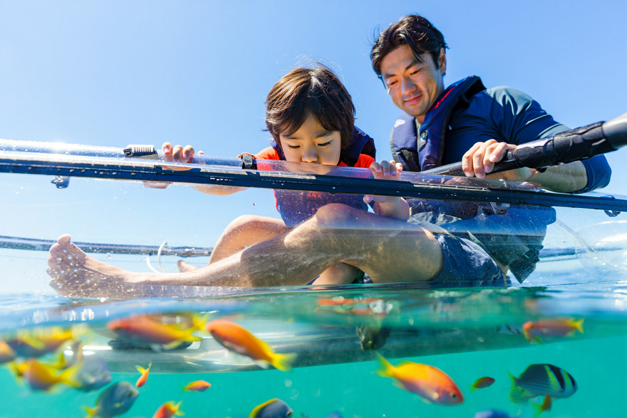 クリアカヤックに乗る日本人親子、子供が興味津々に海を覗いてる！