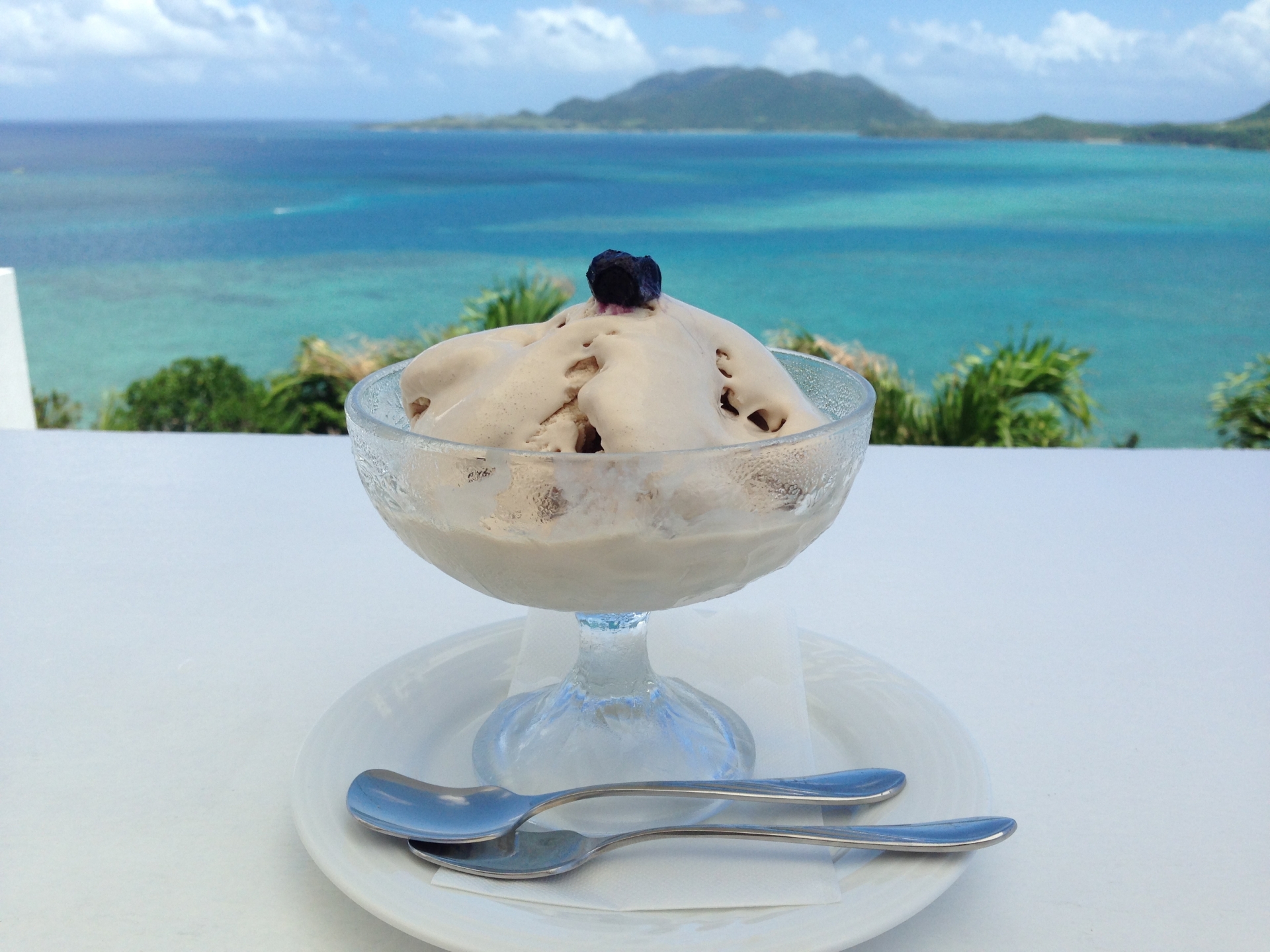 生き物観察と合わせて楽しみたい!絶景カフェ&宮古グルメ